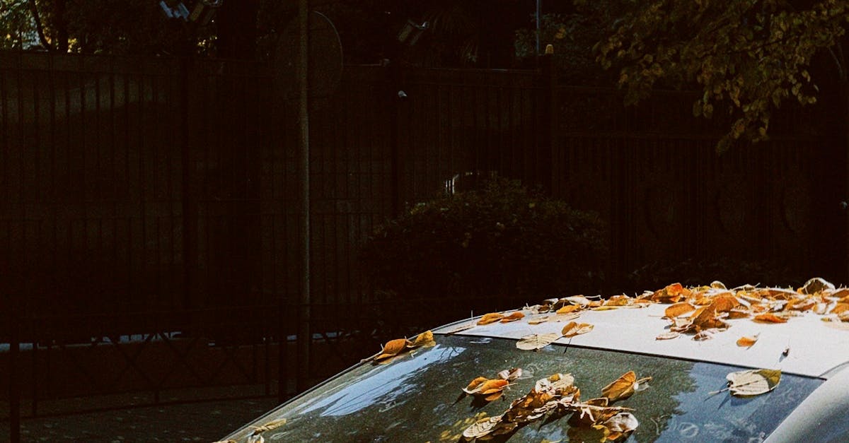 A Comprehensive Guide to Hand Washing Your Car Thoroughly