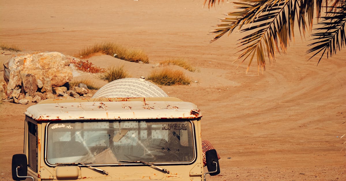 Can Mobile Detailing Handle Larger Vehicles Like Vans or SUVs