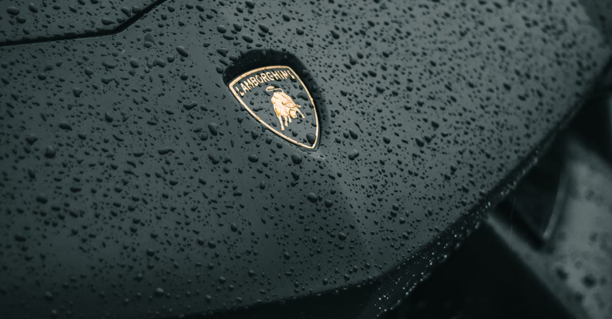 Tips for Protecting Your Car's Paint Before a Mobile Detail Visit